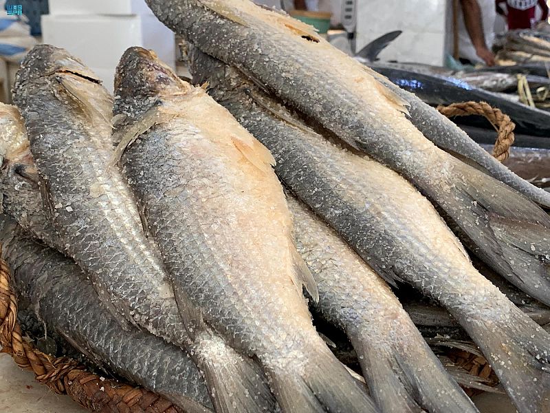 السمك المالح .. وجبة أساسية على سفرة الإفطار في عيد الفطر بجازان
