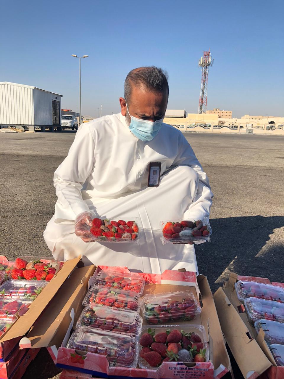أمانة الشرقية  تضبط١٦٠ كيلو من فاكهة الفراولة الفاسد في سوق الخضار الفواكه المركزي بالدمام قبل توزيعها بالأسواق