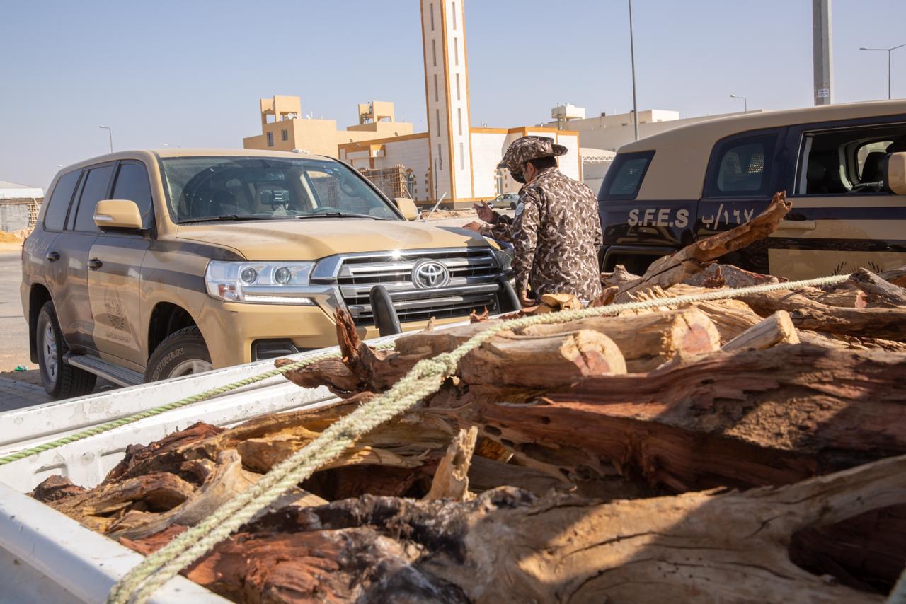 القوات الخاصة للأمن البيئي تضبط 16 طناً من الحطب المحلي المعد للبيع في مدينة الرياض