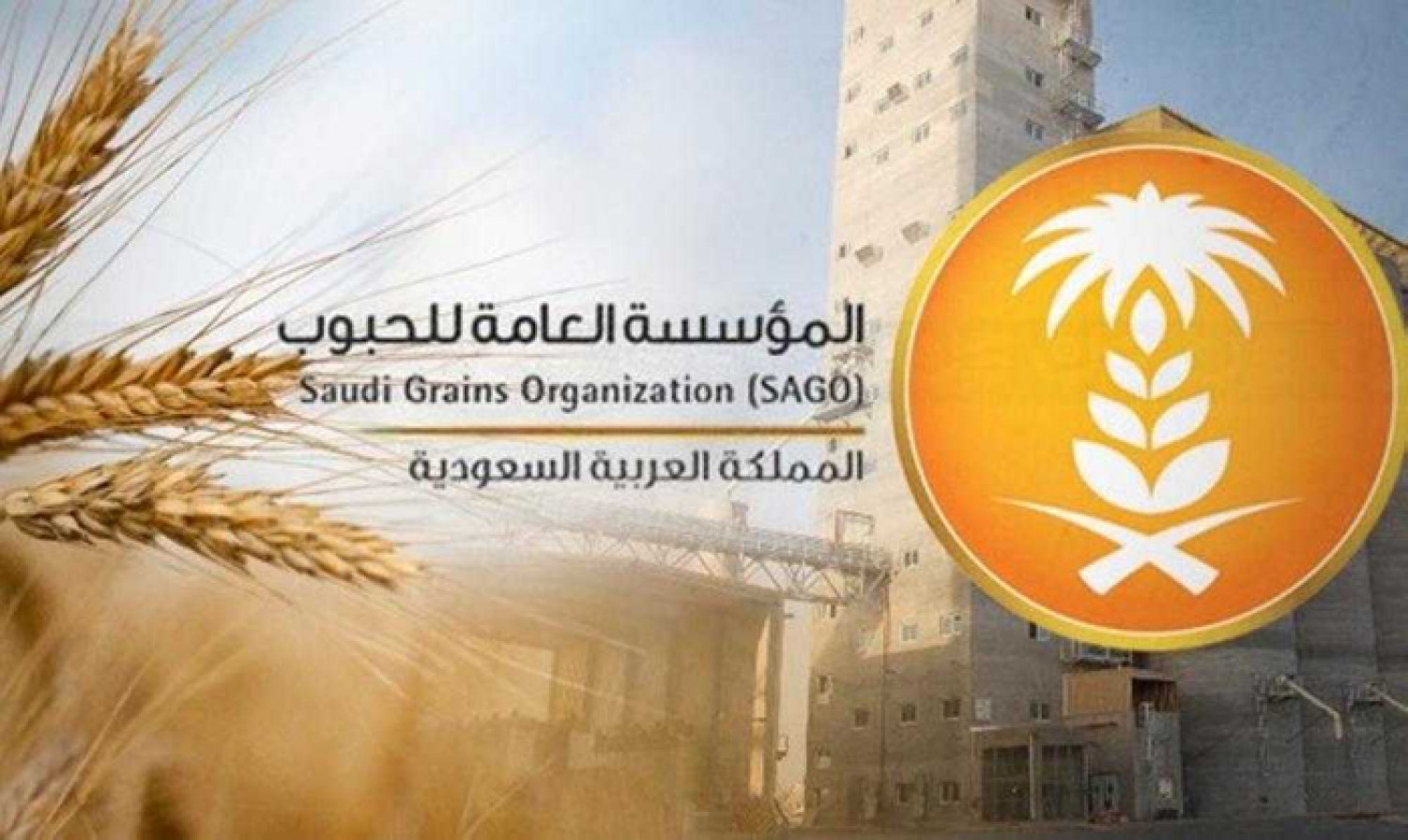 «مؤسسة الحبوب» تعلن عن وظائف شاغرة بفرع «ينبع»