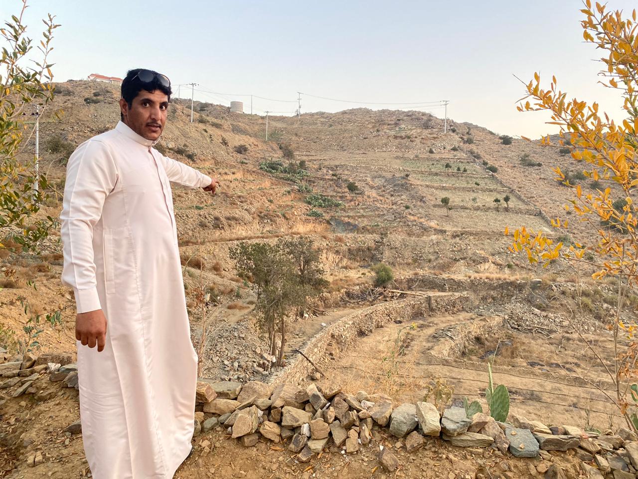 المزارع الغامدي: التين الشوكي ثروة زراعية مهمة  لم تُستغل بعد في الباحة