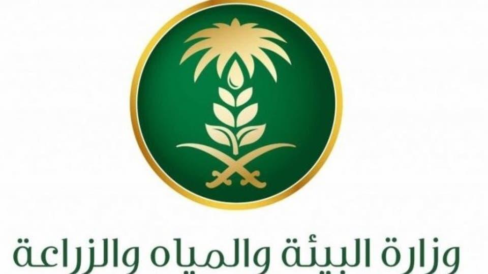 "البيئة"  تتوجه لتشمل السبخات الملحية الداخلية والساحلية بالتشجير البيئي 