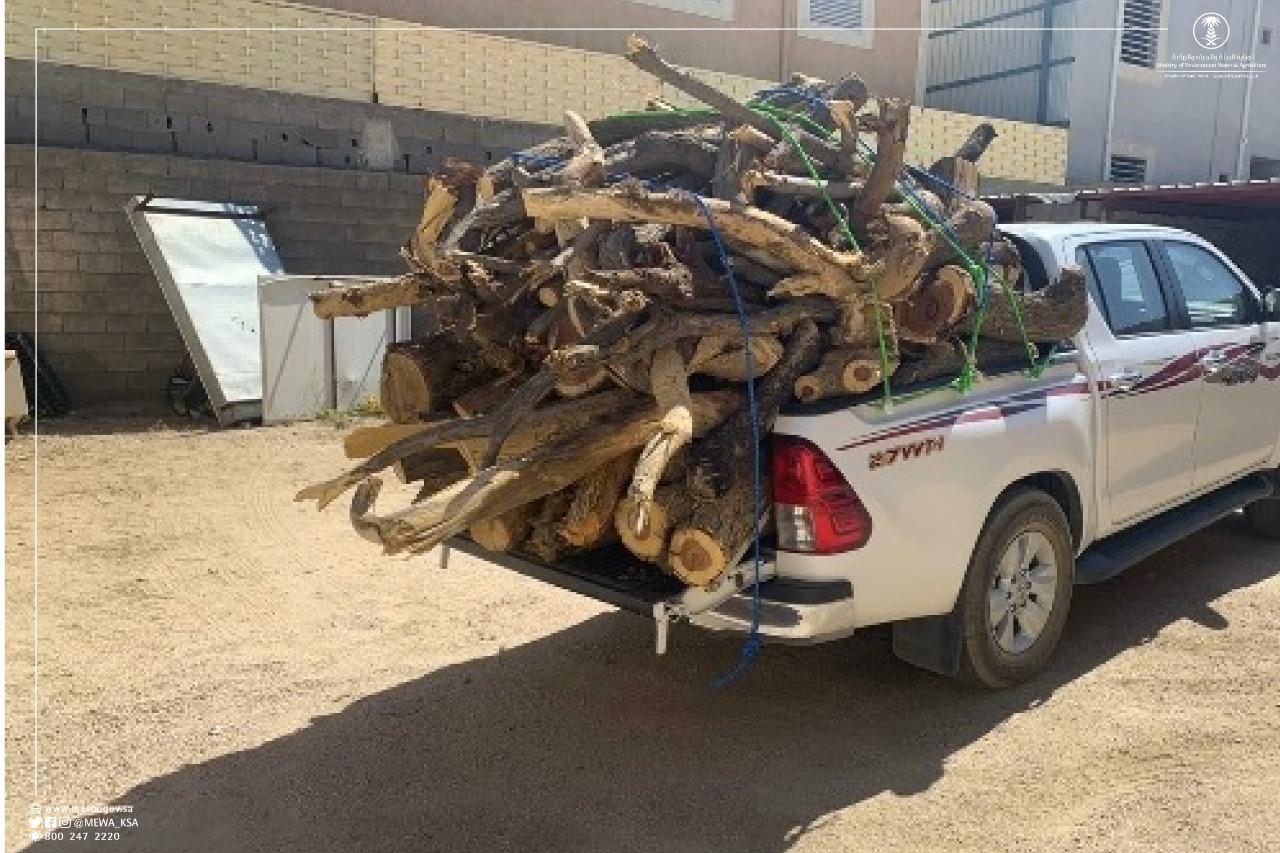"البيئة" تنفذ حملة واسعة ضد الاحتطاب وتصادر 39 طنًا وتزيل (56) مصنعًا للفحم بعدة مناطق