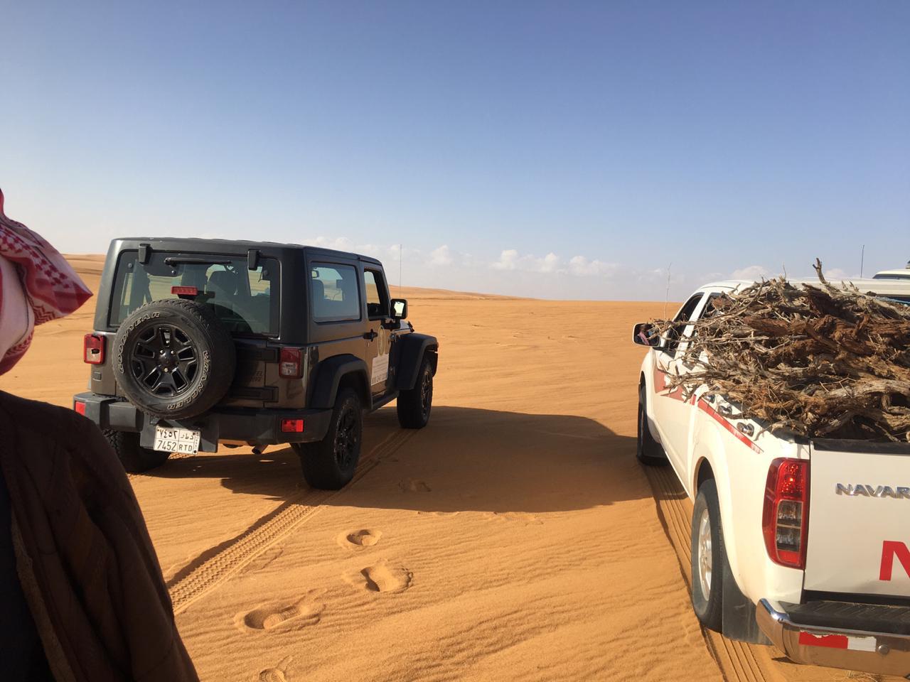*"البيئة" تنفذ حملة موسعة على مواقع بيع الحطب المحلي في 4 مناطق*