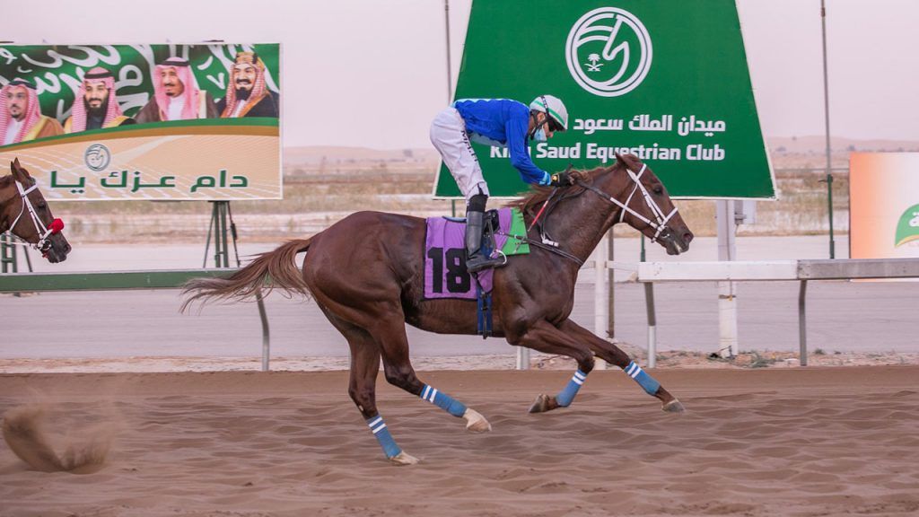 ميدان الملك سعود للفروسية بمنطقة القصيم يقيم حفل سباقه السادس