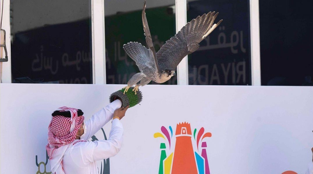 منافسة قوية في فئة "الجير شاهين" بكأس موسم الرياض للصقور
