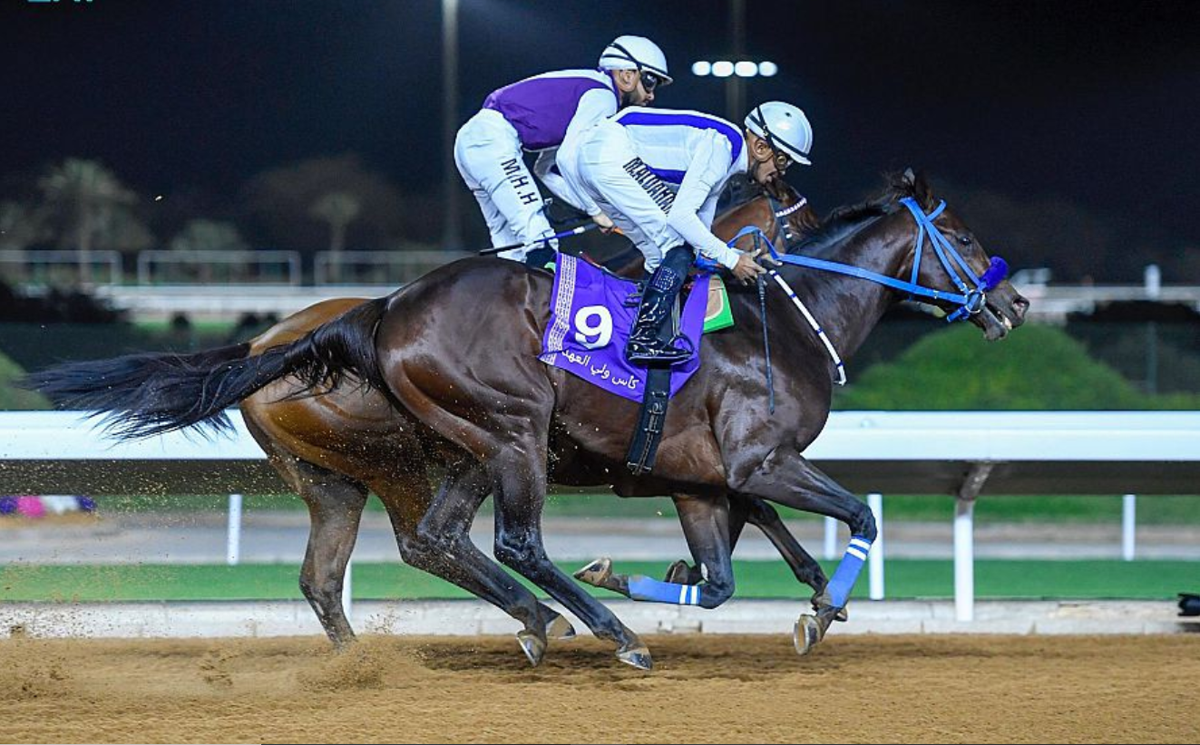سمو أمير الرياض بالنيابة يرعى حفل نادي سباقات الخيل على كأسي سمو ولي العهد