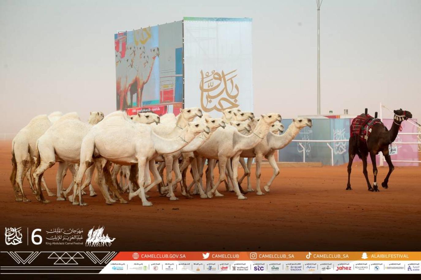 القحطاني يُتوّج بالمركز الأول في منافسات فرديات الوضح