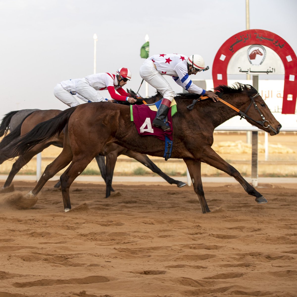 فروسية الزلفي تقيم سباقها الـ19 على كأس وجوائز دعم نادي سباقات الخيل للميادين