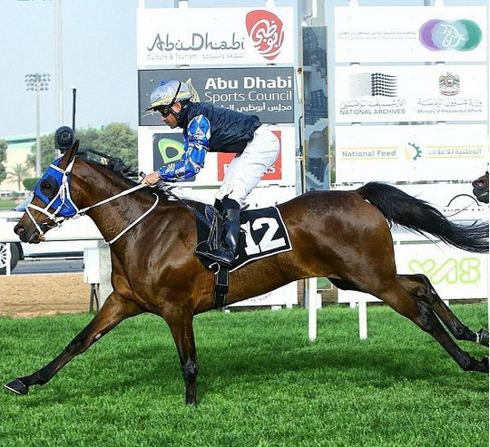 إسطبلات عذبة للسباقات تفوز بشوط الجياد العربية الأصيلة بأبوظبي
