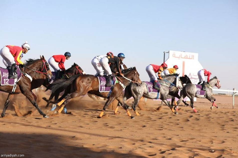 فروسية حائل تنظم حفل سباقها السادس عشر