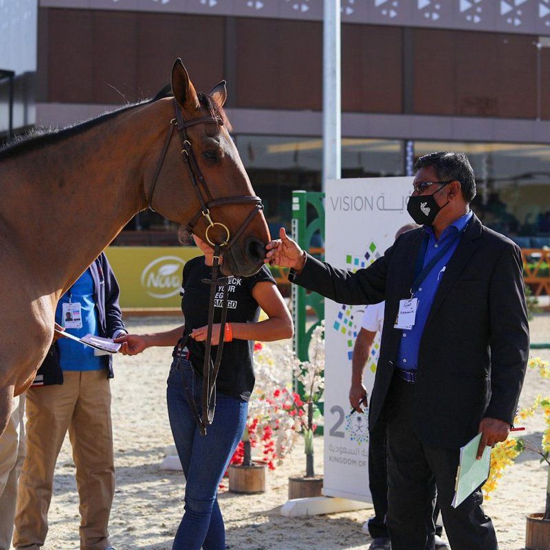 اللجنة الطبية ببطولة قفز السعودية تفحص 158 خيلاً