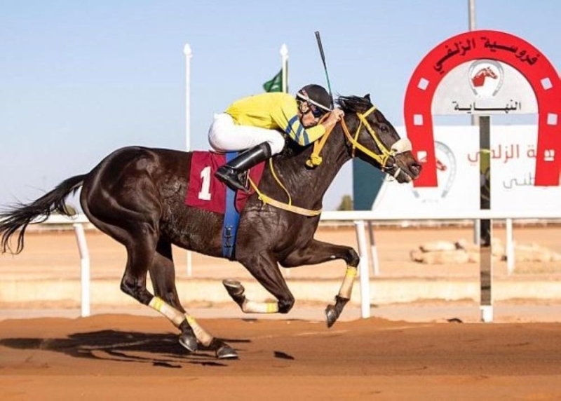 فروسية الزلفي تقيم سباقها الـ11 على كأس وجوائز دعم نادي سباقات الخيل للميادين
