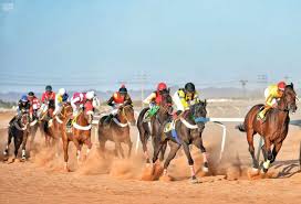 فروسية حائل تقيم حفل سباقها الـ 14