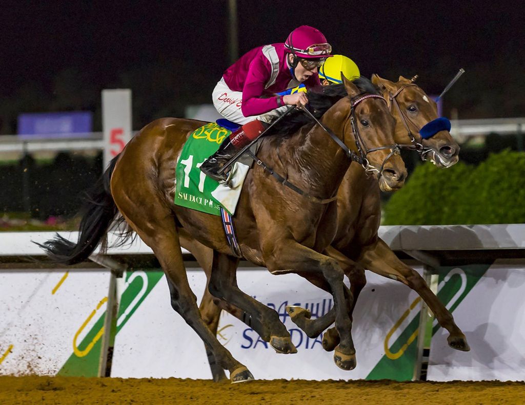 كأس السعودية تشهد مشاركة أشهر الجياد وأبرز الفرسان وسط ترقب محلي ودولي