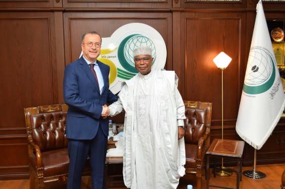 أمين منظمة التعاون الإسلامي يستقبل أمين منظمة الدول التركية