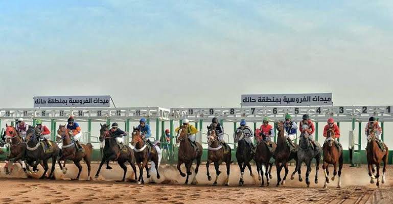 فروسية حائل تنظم حفل سباقها الحادي عشر