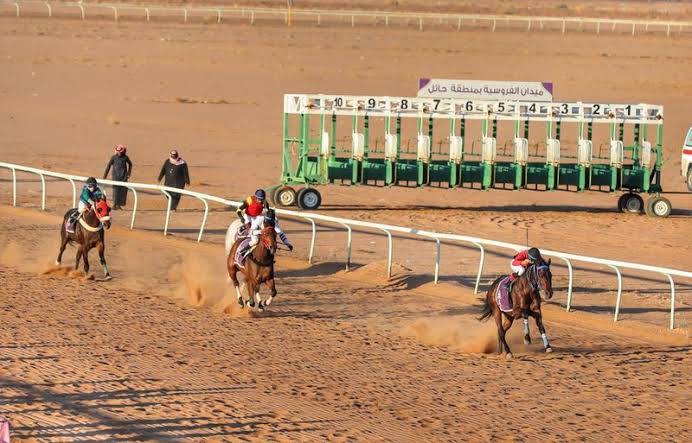 ميدان الفروسية بحائل يقيم حفل سباقة الخامس عشر
