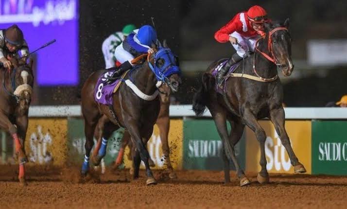 اختتام بطولة الخيل سعودية الأصل والمنشأ بمهرجان الأمير سلطان بن عبدالعزيز العالمي للجواد العربي