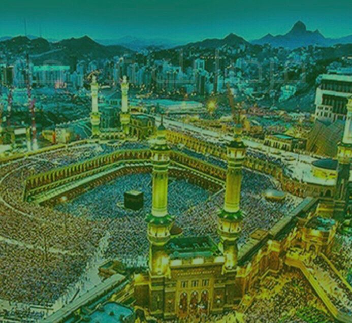 اللجنة العلمية بمؤسسة مجمع إمام الدعوة الخيرية تنفذ دورات لأبناء شهداء الواجب وبرامج استفاد منها ٤٨ ألف من ٧١ دولة