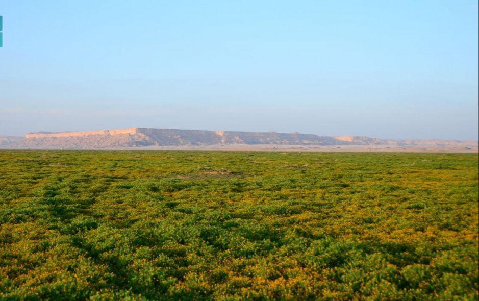 محمية الملك عبدالعزيز الملكية توقع عقوداً لإنشاء منتجعين سياحيين في روضة الخفس وقلتة أم قليدة