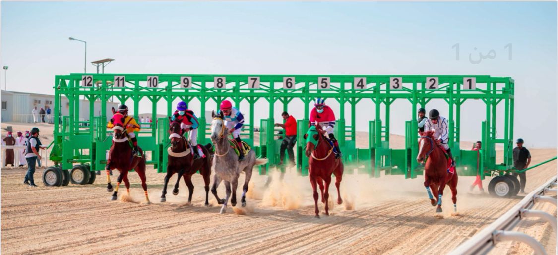 ميدان فروسية الجبيل يقيم حفل سباقه الـ 11