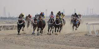 ميدان الفروسية بالمدينة المنورة يقيم سباقه السابع للموسم الحالي 1443ه