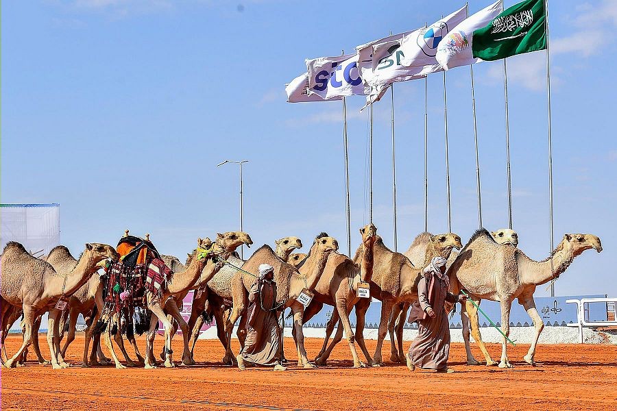 الدوسري وابن لبدان ينتزعان المركز الأول في فردي دق الصفر والشعل بمهرجان الملك عبدالعزيز للإبل