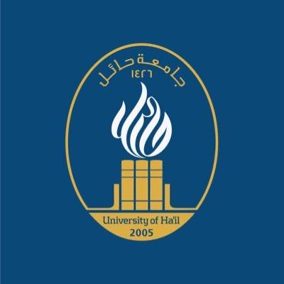 مكتب دعم ومتابعة الخريجين بجامعة حائل يختتم برنامج المهارات الرقمية لسوق العمل