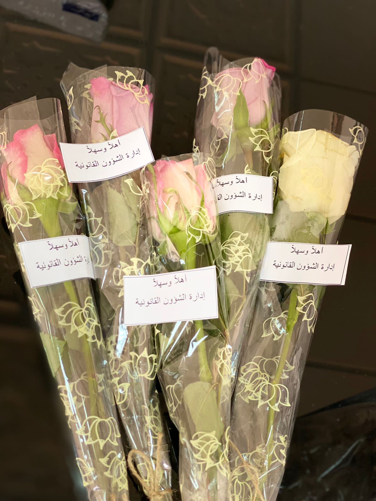 0d1c7423-cef4-47b0-830c-573c34062ef9