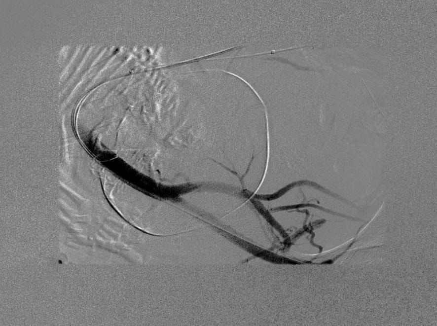 76ade5e3-782a-42ff-b5f9-070e42f6b209