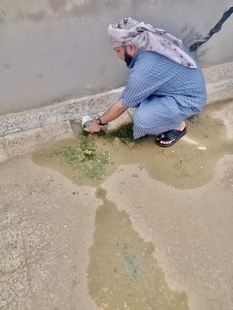 ed7ed061-a5cf-421f-963b-7f509c9f9af4