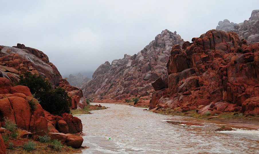 IMG-20220622-WA0047-1