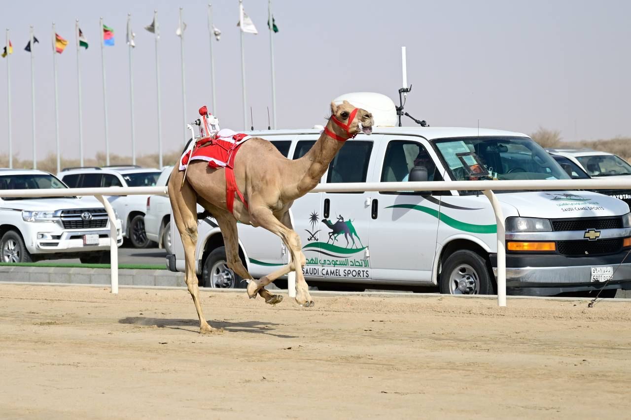 أجزاءُ الثانيةِ تحسمُ فوزَ القعود "لاضي" في مهرجان وليِّ العهدِ للهجن 2022