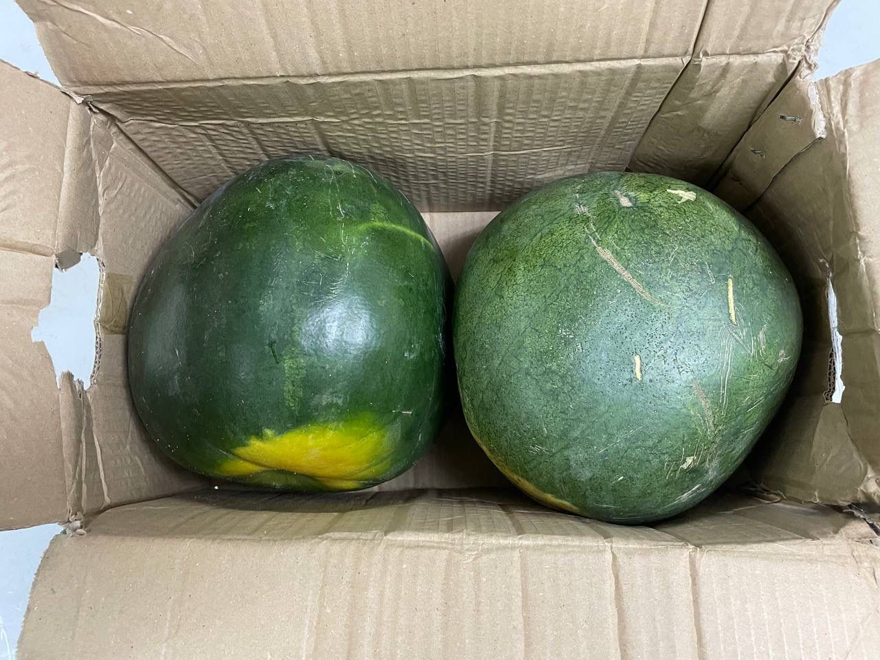 IMG-20220928-WA0020-1