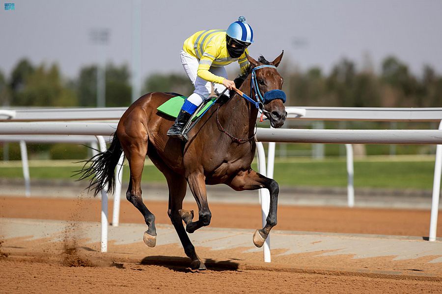 فتاة سعودية تحصل على أول رخصة "خيّالة" في سباقات الخيل