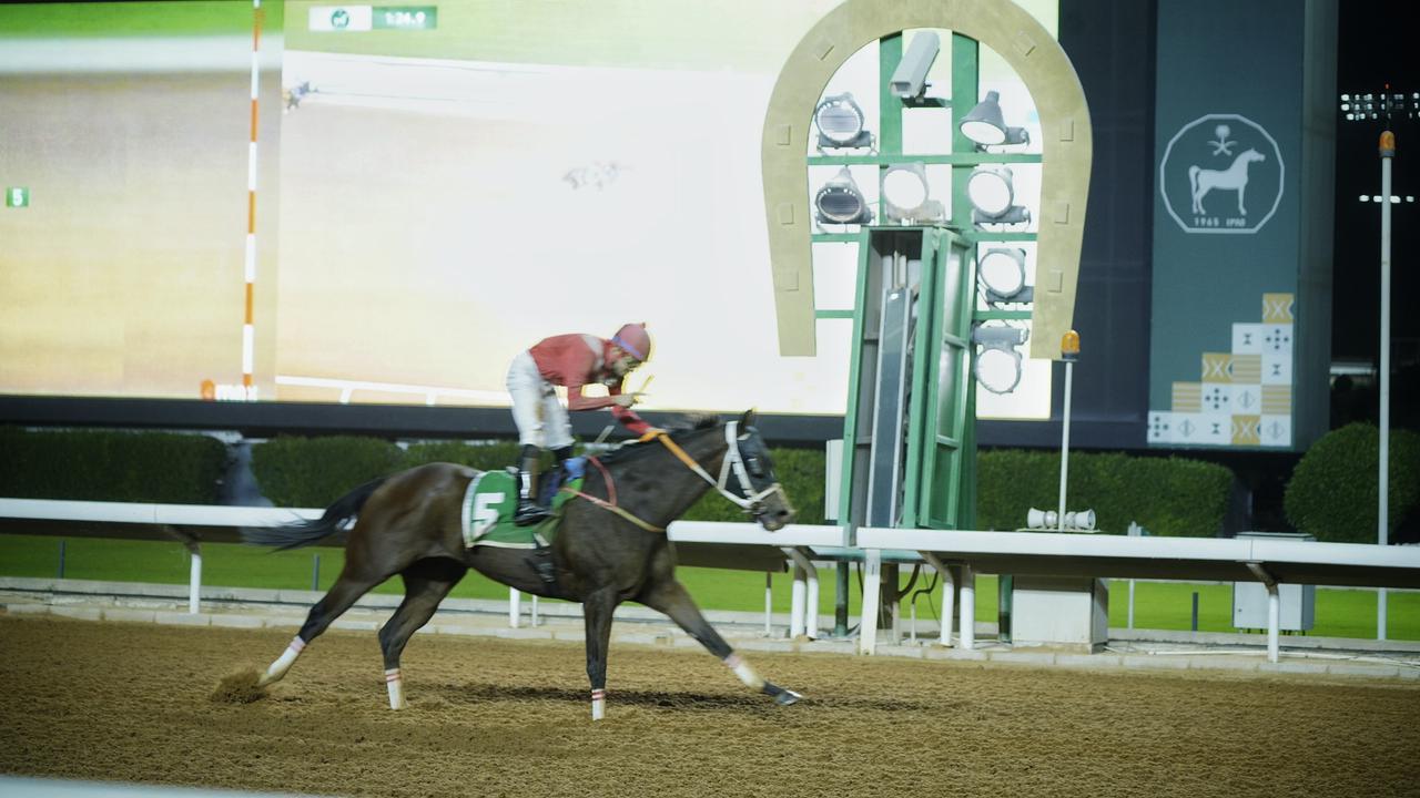 الجواد "سودد" يحقق كأس جمعية الكشافة العربية السعودية للفروسية