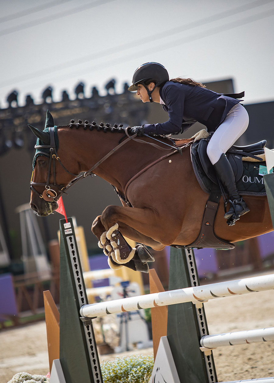 رئيس الاتحاد القطري: قريباً بطولة للفرسان الخليجين