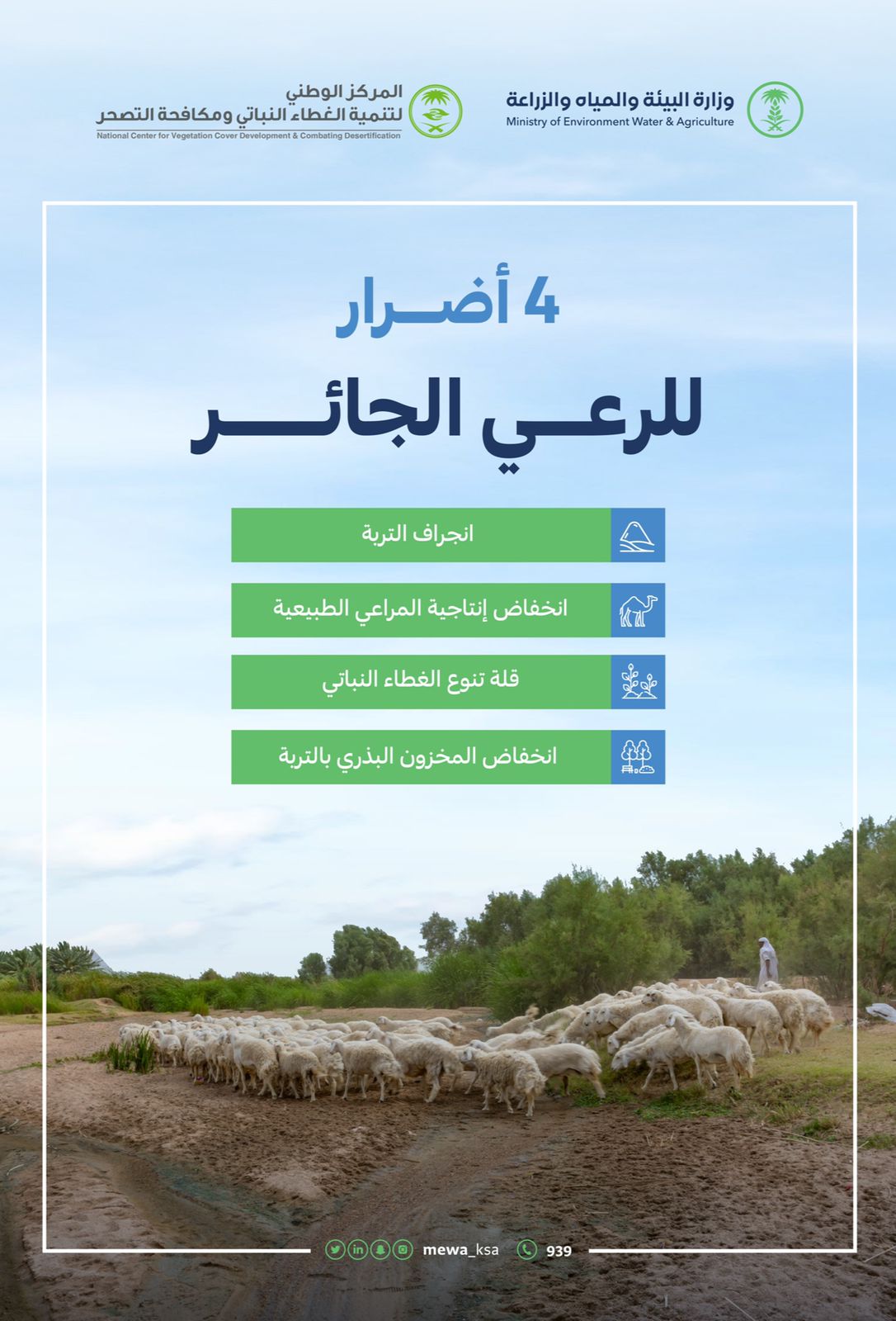 "البيئة": أربعة أضرار رئيسة للرعي الجائر على أراضي المملكة