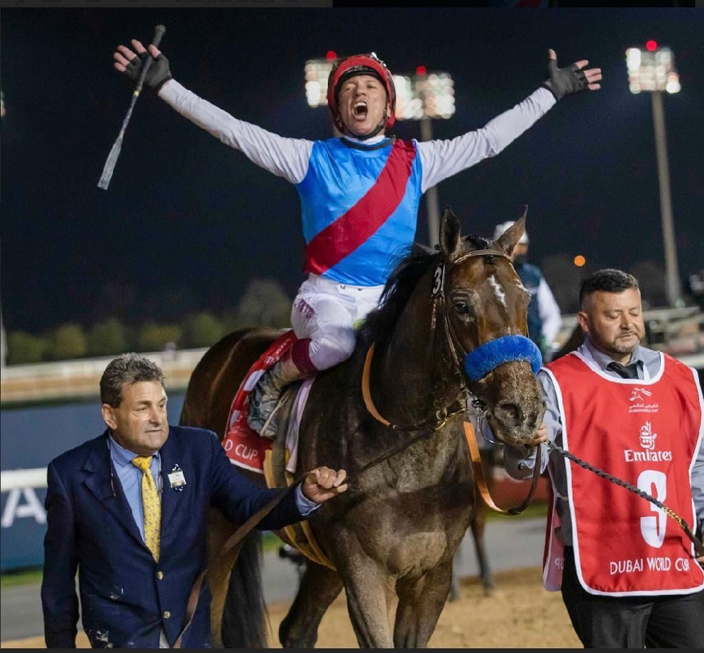 15 دولة.. الإعلان عن الجياد المشاركة في كأس السعودية 2023