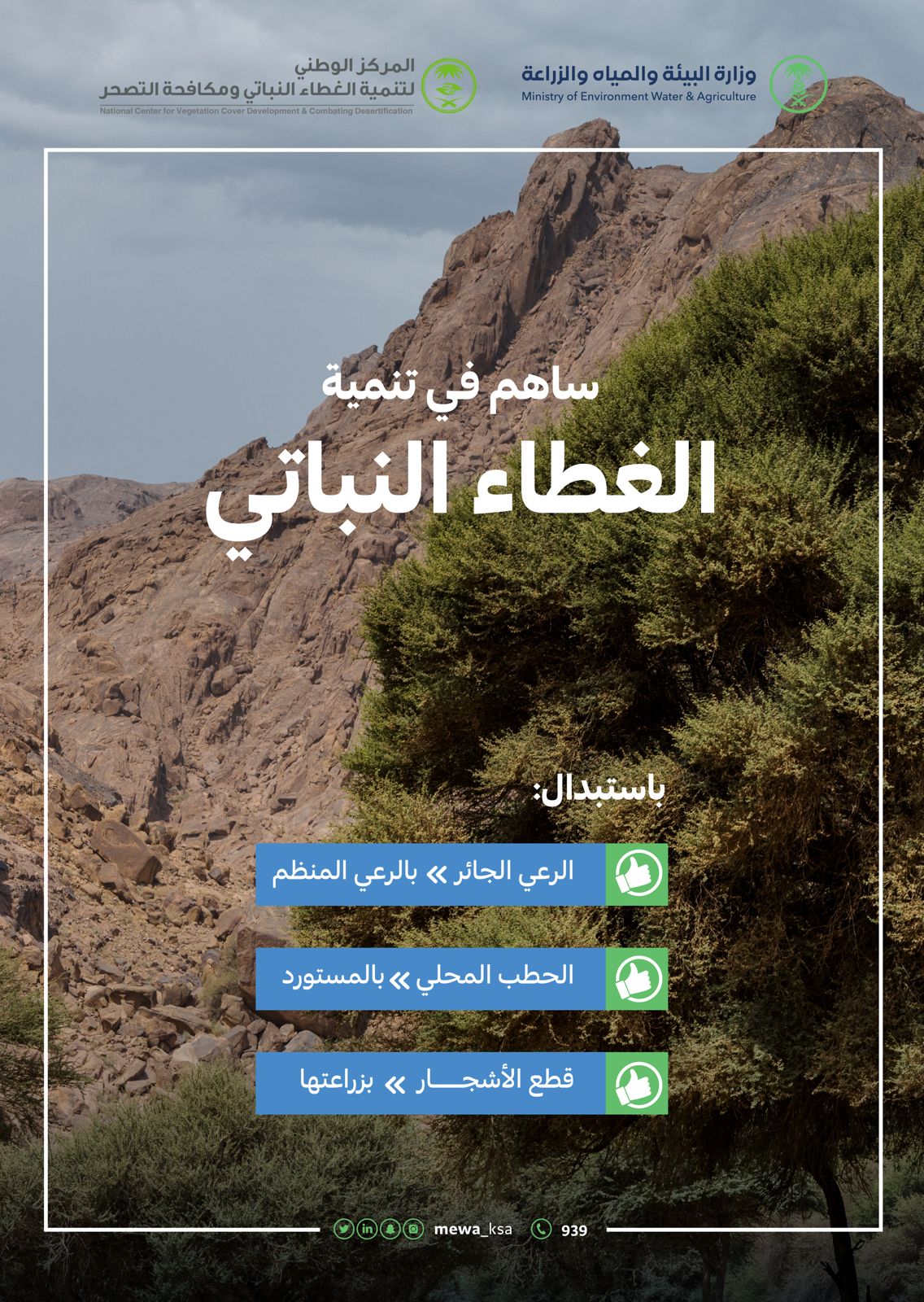 "البيئة: "ثلاث موجّهات رئيسة تساهم في تنمية الغطاء النباتي