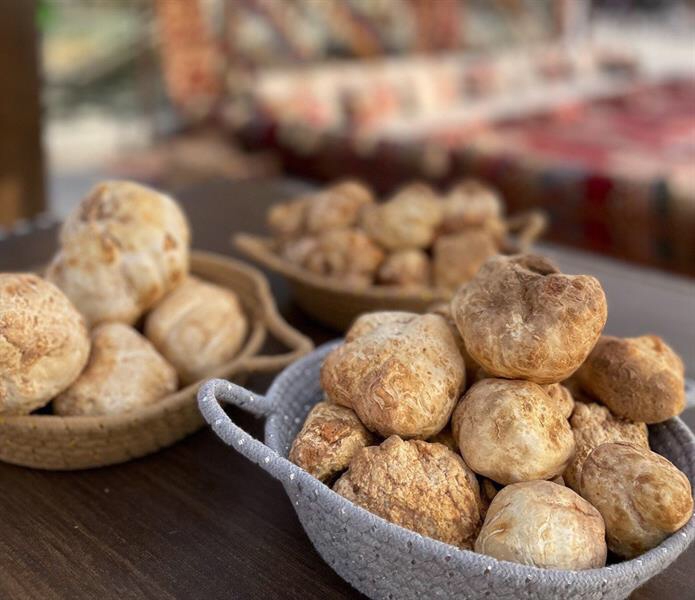 "مهرجان الفقع بنسخته الثانية"... ينطلق غداً بمركز شري
