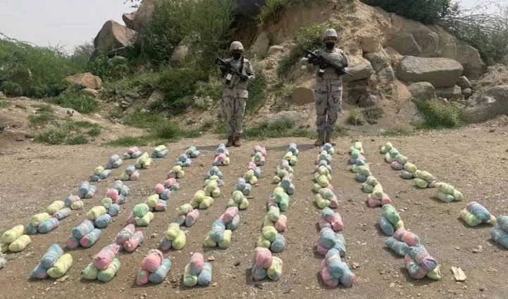 حرس الحدود بجازان يقبض على (8) مخالفين لنظام أمن الحدود لمحاولتهم تهريب (88) كيلوجرامًا من نبات القات المخدر