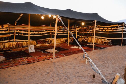 مركز "الغطاء النباتي" يعلن بدء إصدار تصاريح المخيمات للأفراد في أراضي الغطاء النباتي والمتنزهات الوطنية