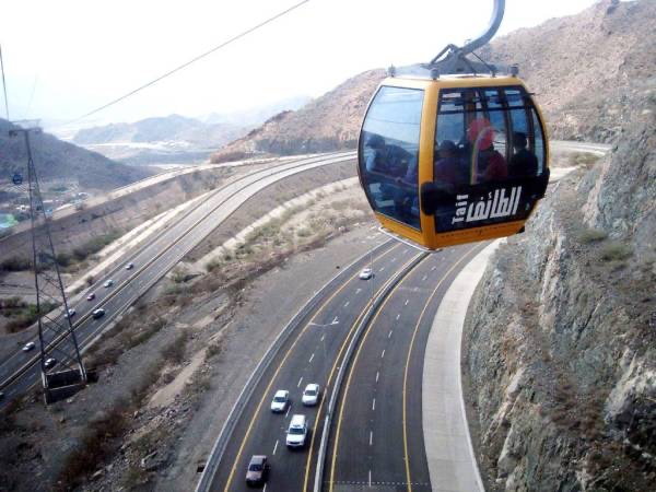 تعليم وجامعة الطائف تعلقان الدراسة آل حضورية غداً