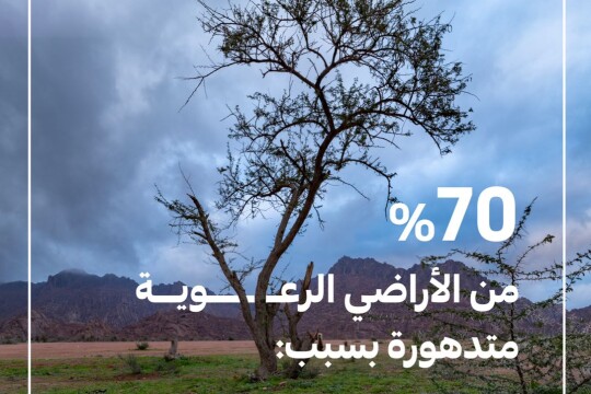 "البيئة" تطلق حملة توعوية لحماية الغطاء النباتي تحقيقًا لمستهدفات مبادرة السعودية الخضراء