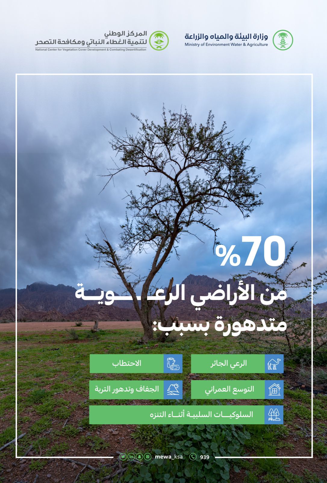 "البيئة" تطلق حملة توعوية لحماية الغطاء النباتي تحقيقًا لمستهدفات مبادرة السعودية الخضراء