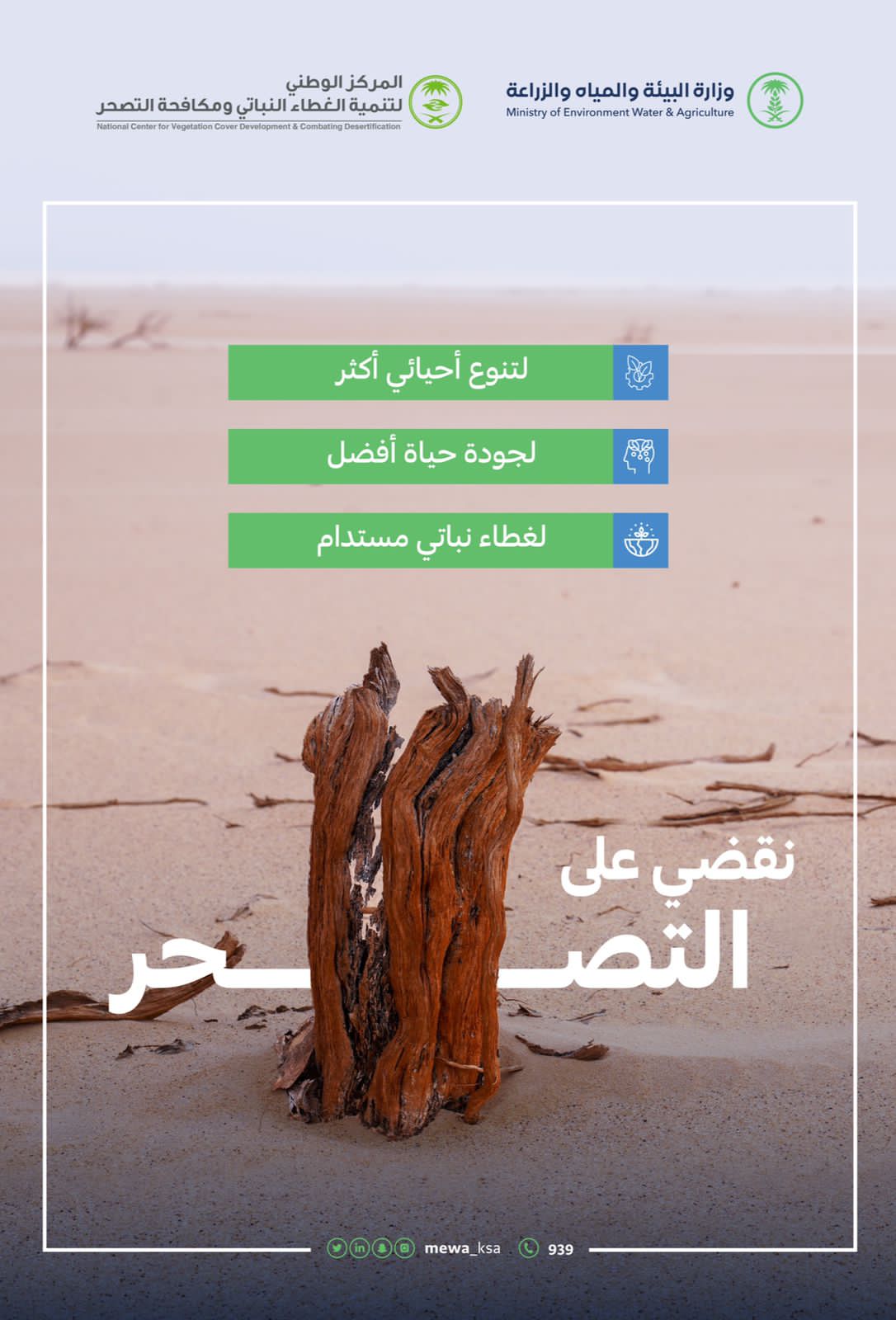 "البيئة": القضاء على التــــصحـــــر يُسهم في تحقيق جودة حياة أفضل وغطاء نباتي مستدام