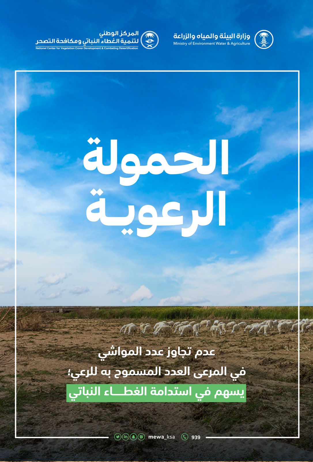 "البيئة": تحديد الحمولة الرعوية يسهم في ازدهار المراعي واستدامة الغطاء النباتي