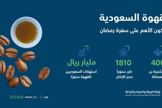 البن السعودي.... الاستثمار الأمثل في القطاع الواعد و 400 ألف شجرة تعزز سلاسل الإنتاج المحلي